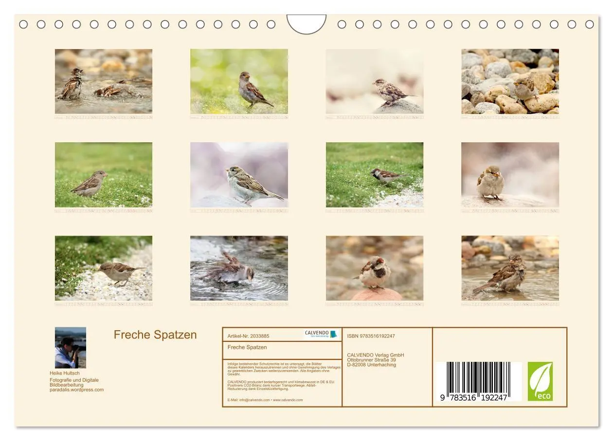 Bild: 9783516192247 | Freche Spatzen (Wandkalender 2026 DIN A4 quer), CALVENDO...