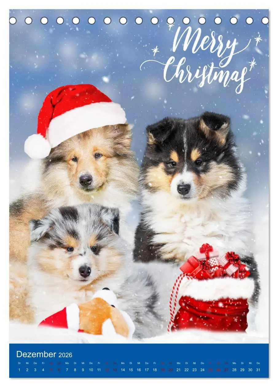 Bild: 9783516332247 | Traumhund Collie - Glück auf vier Pfoten (Tischkalender 2026 DIN A5...