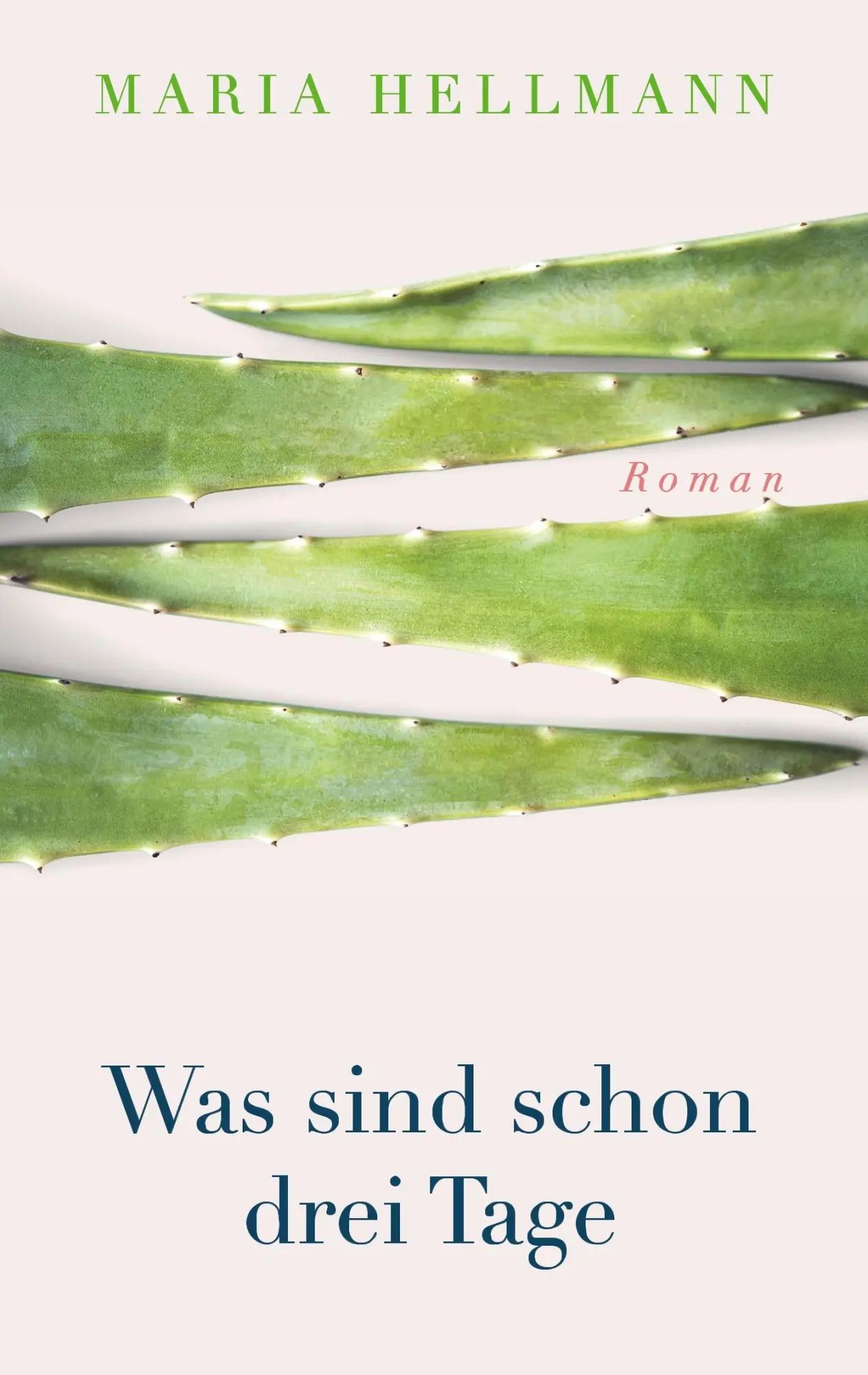 Cover: 9783740762247 | Was sind schon drei Tage | Maria Hellmann | Taschenbuch | 284 S.