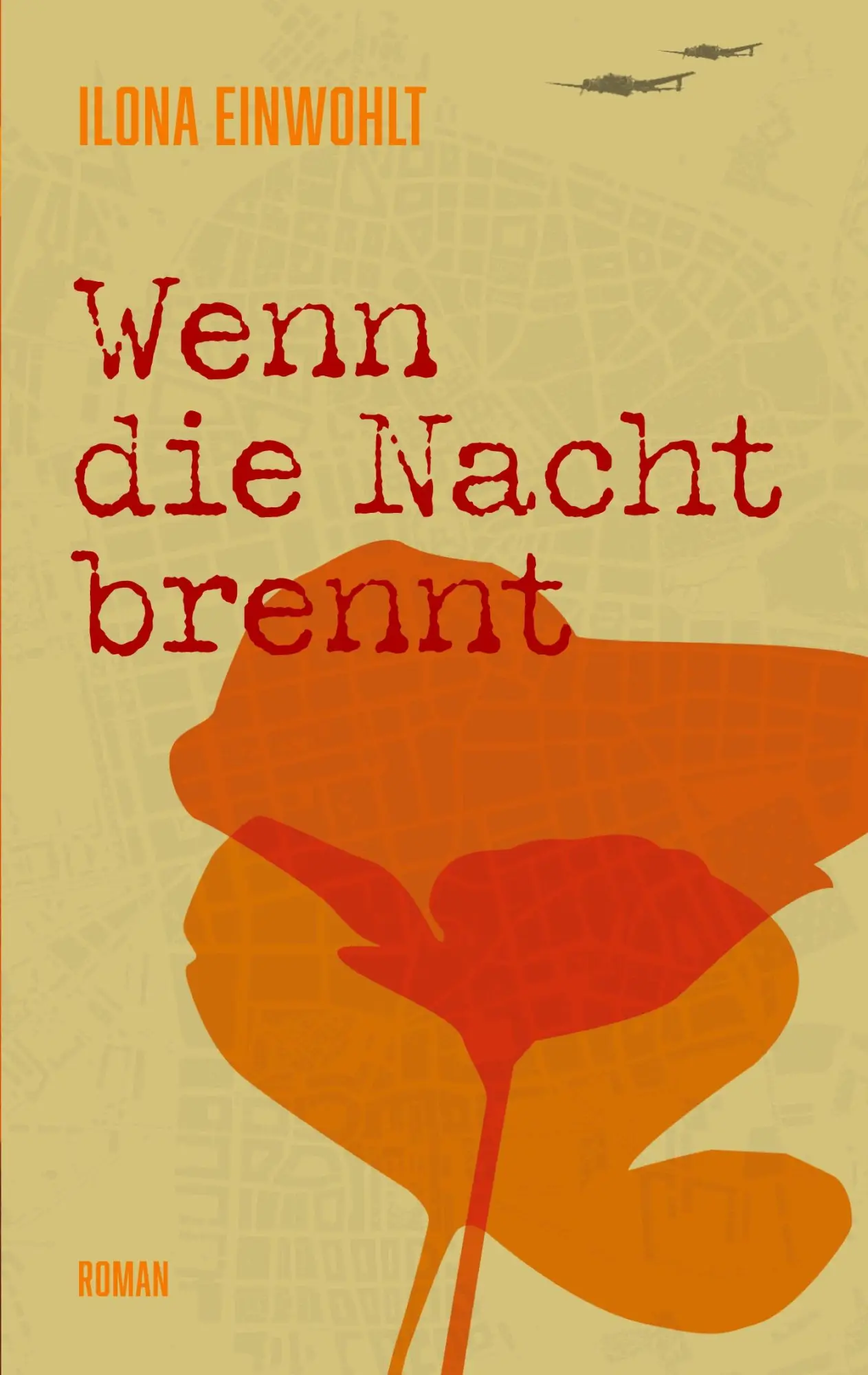 Cover: 9783819202247 | Wenn die Nacht brennt | Ilona Einwohlt | Taschenbuch | 310 S. | 2025