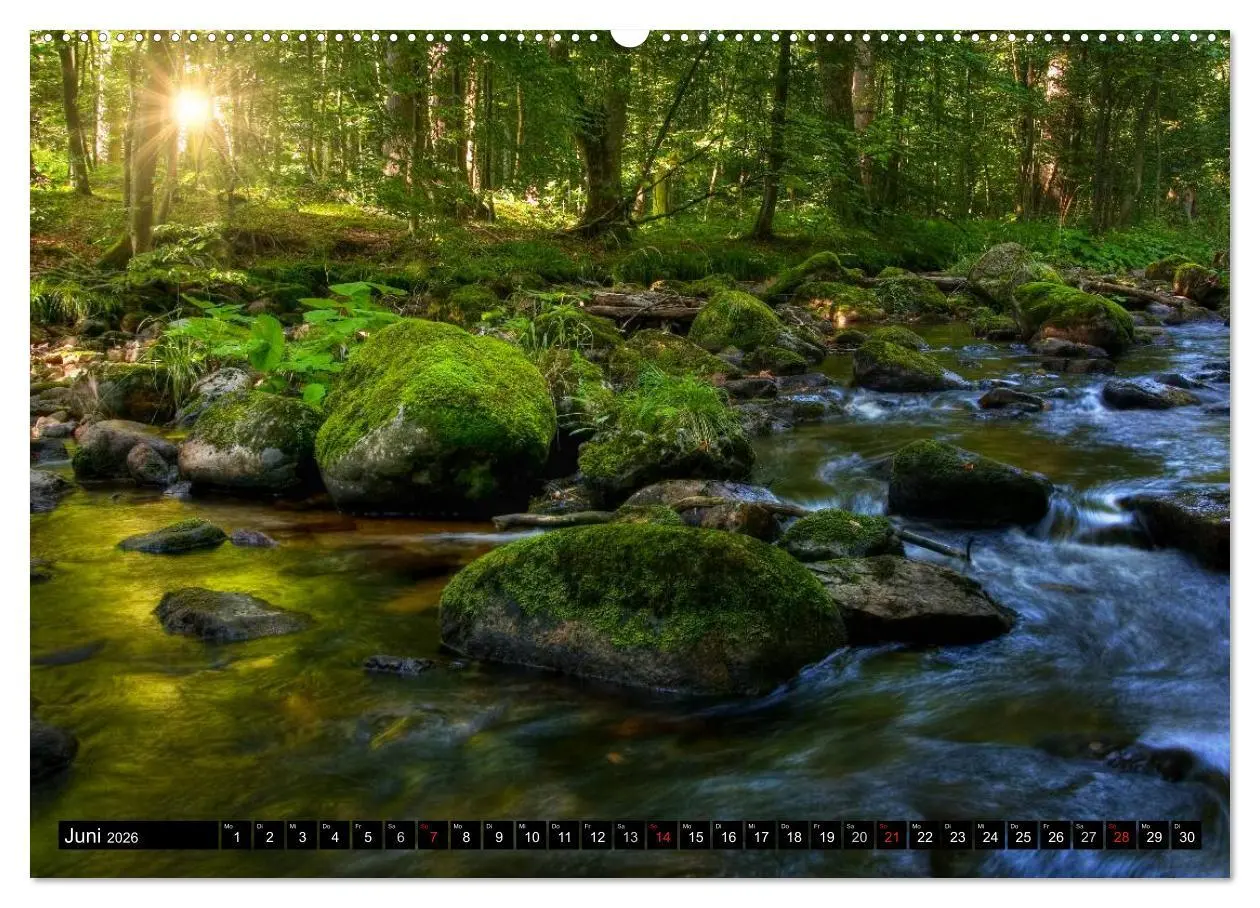 Bild: 9783516182347 | Harz Landschaften (hochwertiger Premium Wandkalender 2026 DIN A2...