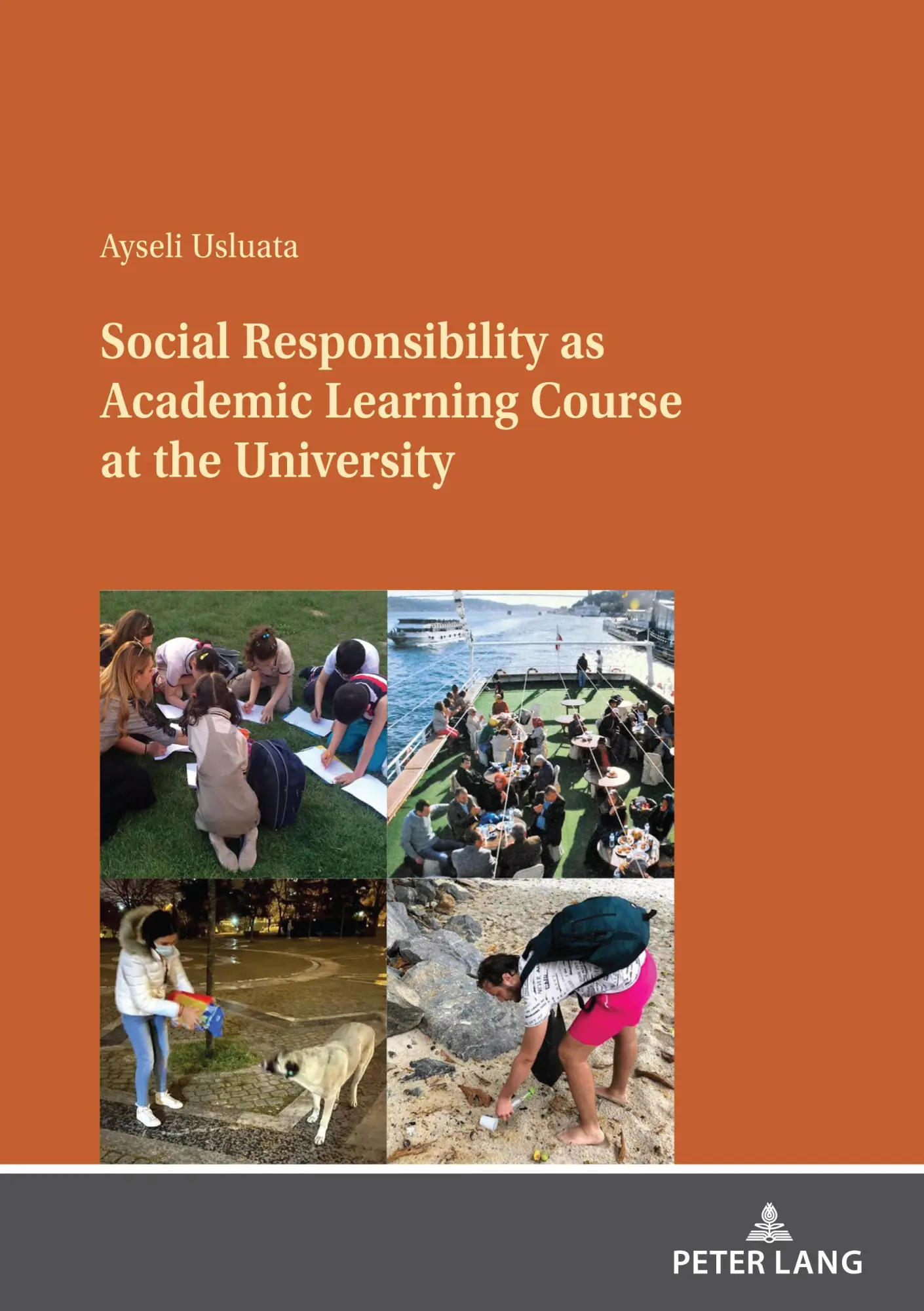 Social Responsibility as Academic Learning Course at the University - Ayseli Usluata Kartoniert (TB)