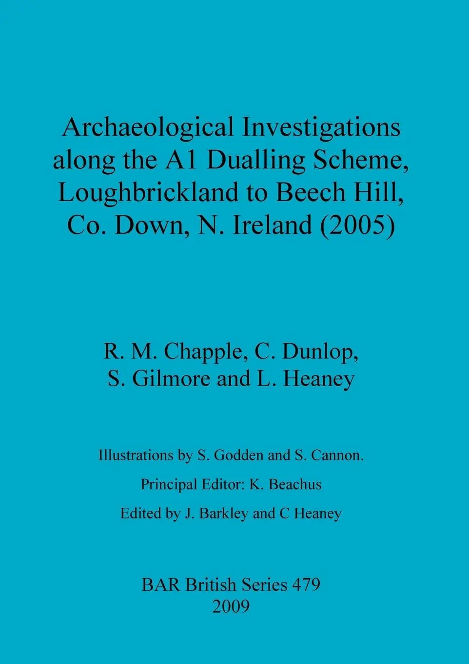 Cover: 9781407302447 | Archaeological Investigations along the A1 Dualling Scheme,...