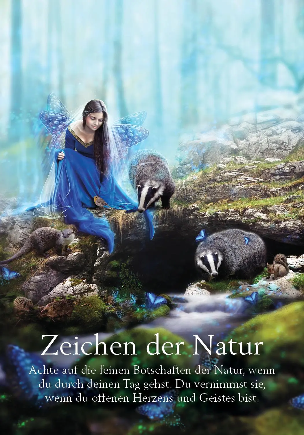 Bild: 9783843492447 | Orakel der Feen | Set mit Buch und 44 Karten | Karen Kay | Taschenbuch