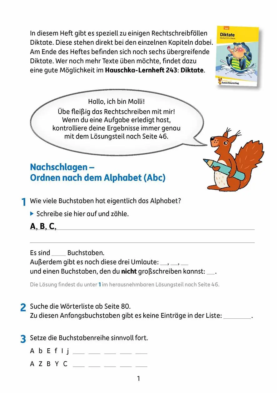 Bild: 9783881002547 | Rechtschreiben und Diktate 4. Klasse | Ines Bülow | Broschüre | 120 S.