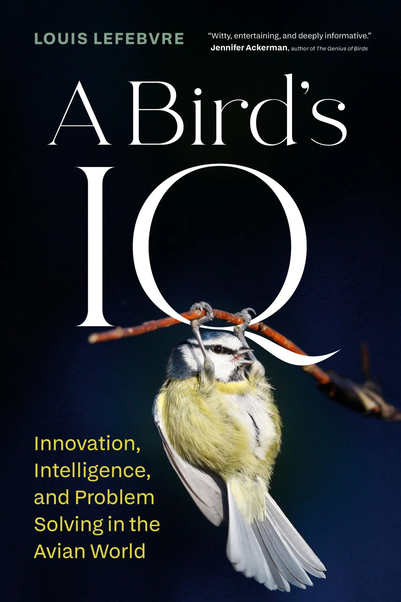 Cover: 9781778402647 | A Bird's IQ | Louis Lefebvre | Buch | Englisch | 2026