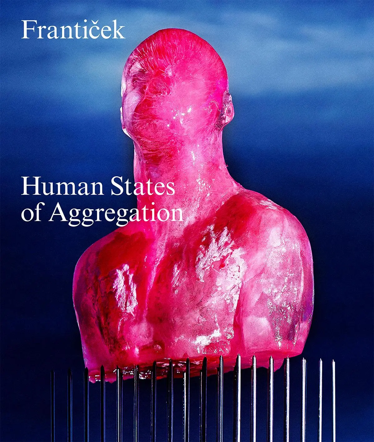Cover: 9783039422647 | Frantisek-Human States of Aggregation | I Melt, Therefore I Am! | Buch