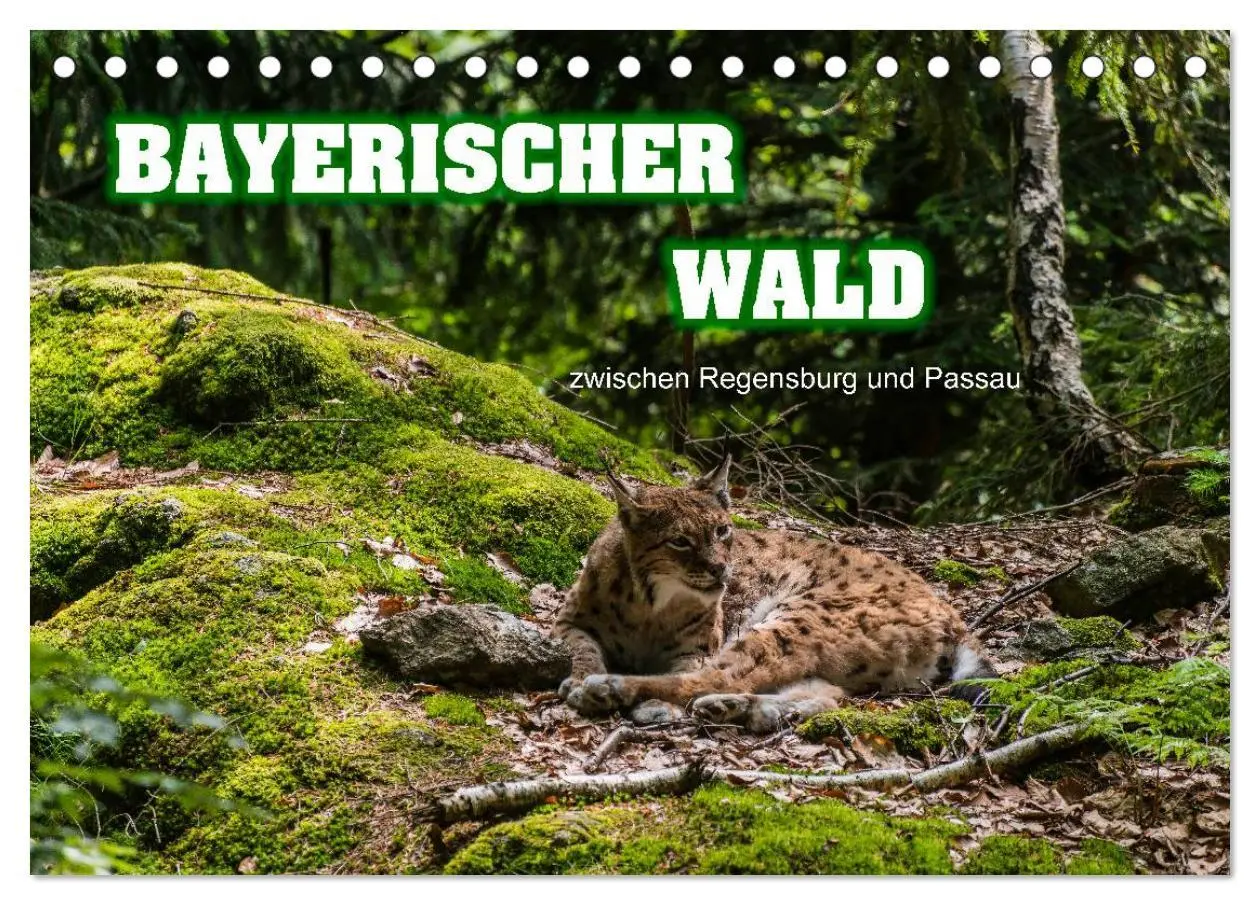Cover: 9783516152647 | Bayerischer Wald (Tischkalender 2026 DIN A5 quer), CALVENDO...