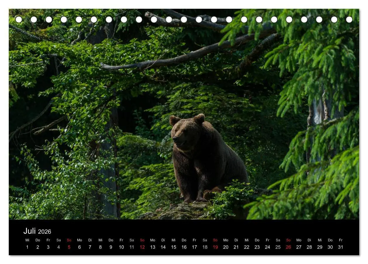 Bild: 9783516152647 | Bayerischer Wald (Tischkalender 2026 DIN A5 quer), CALVENDO...