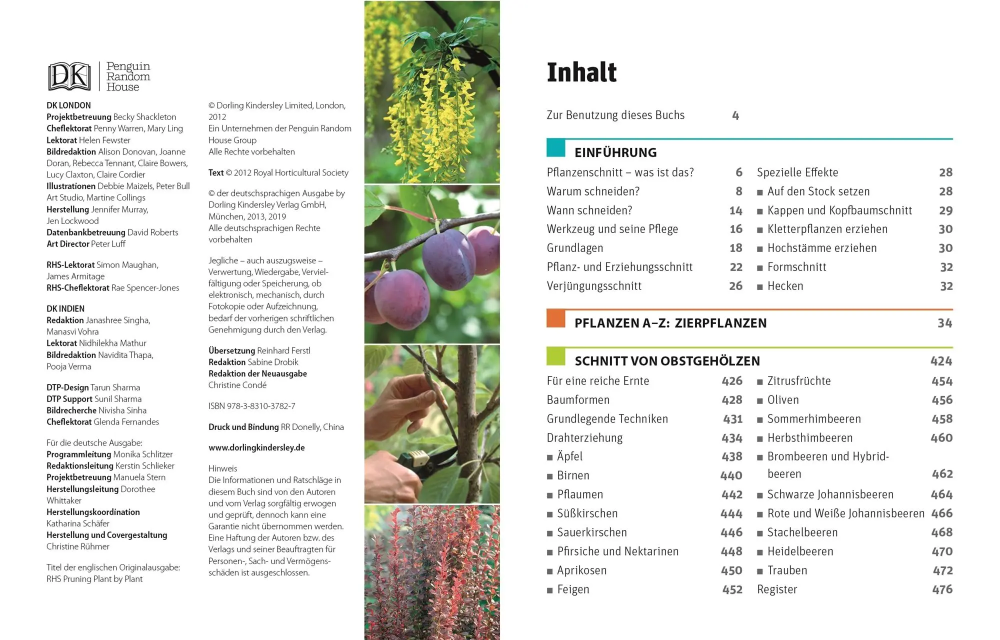Bild: 9783831042647 | Gartenwissen Pflanzenschnitt | Andrew Mikolajski | Taschenbuch | 2021