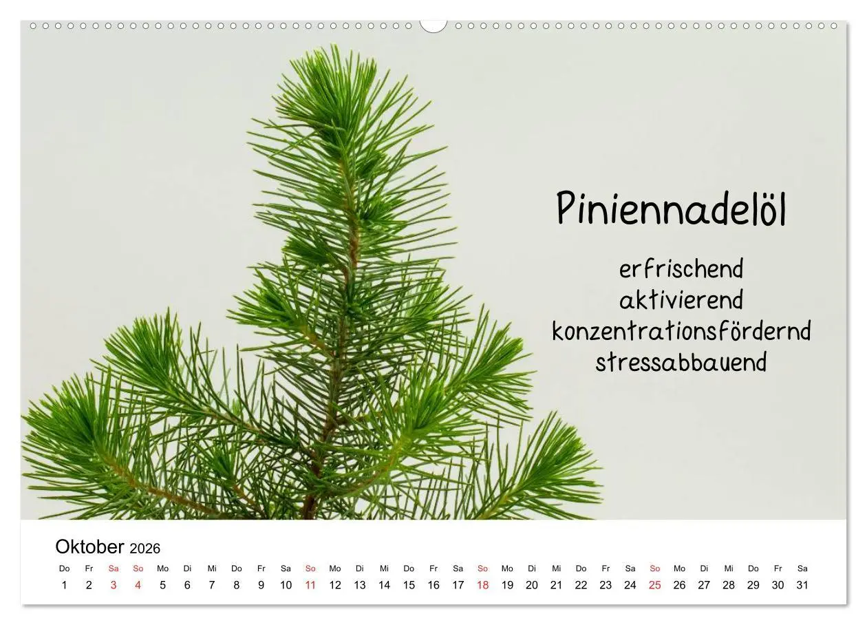 Bild: 9783457982747 | Aromatherapie - Düfte für die Seele (hochwertiger Premium...