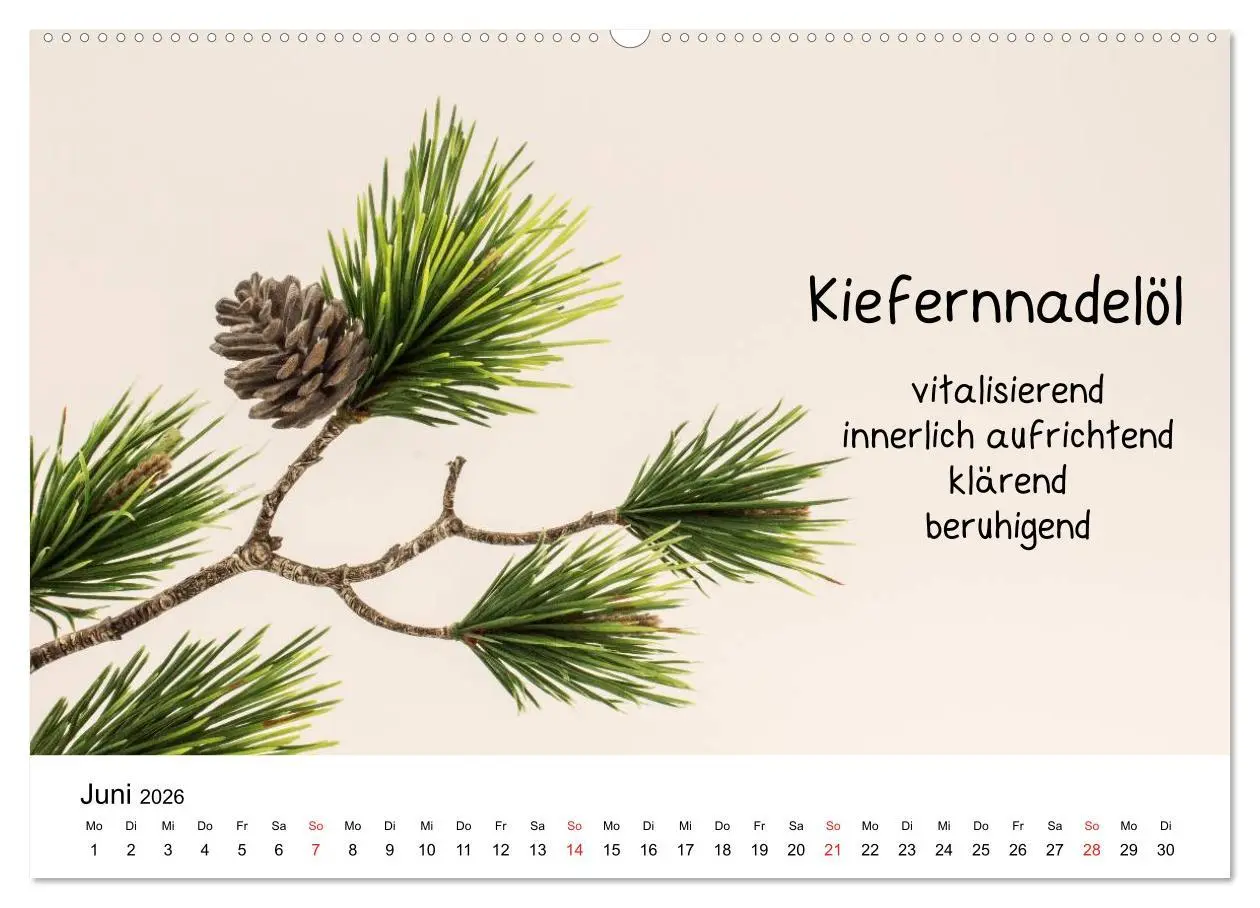 Bild: 9783457982747 | Aromatherapie - Düfte für die Seele (hochwertiger Premium...