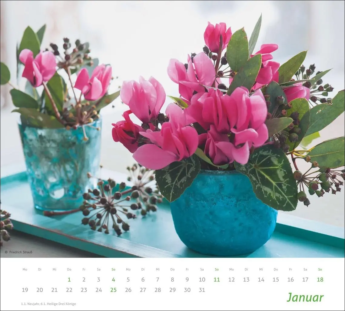 Bild: 9783756412747 | times&amp;more Blumen Bildkalender 2026 | Heye | Kalender | Spiralbindung