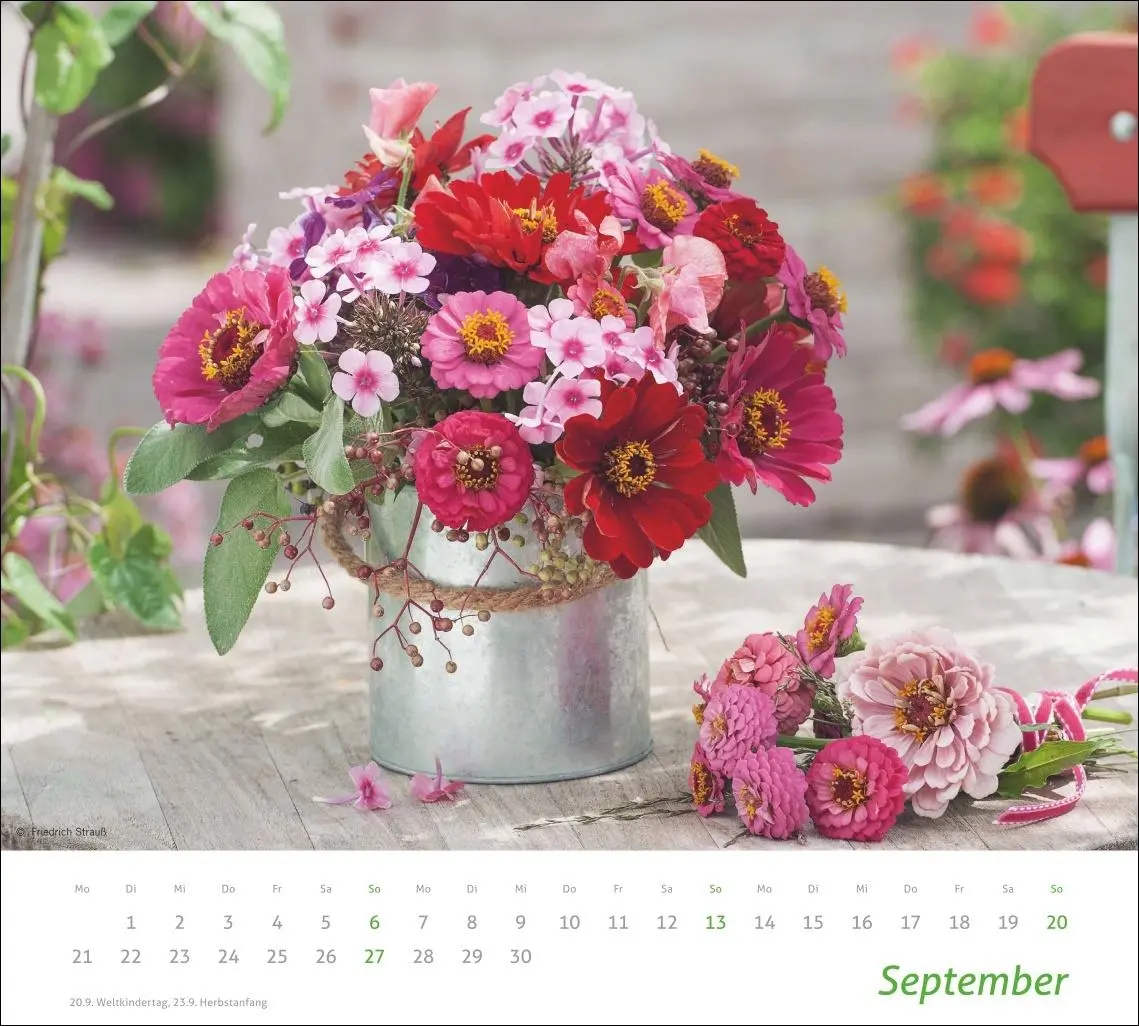 Bild: 9783756412747 | times&amp;more Blumen Bildkalender 2026 | Heye | Kalender | Spiralbindung