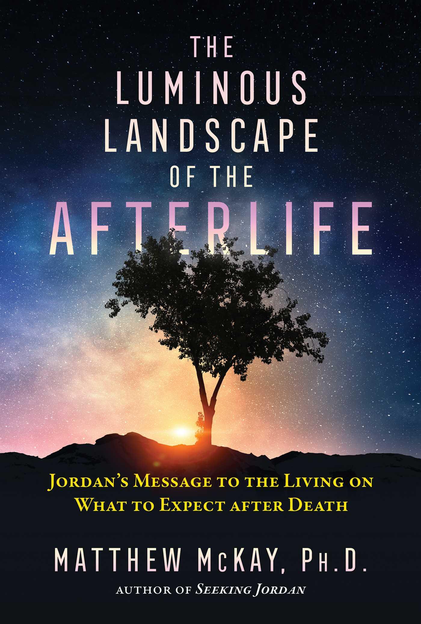 Cover: 9781644112847 | The Luminous Landscape of the Afterlife | Matthew Mckay | Taschenbuch