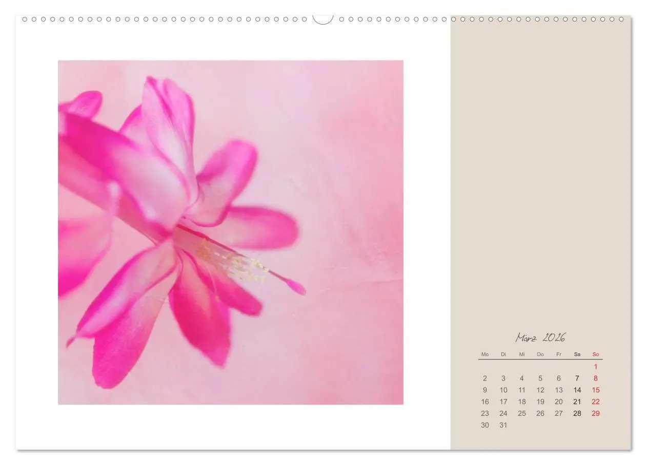 Bild: 9783516202847 | Blütenträume (Wandkalender 2026 DIN A2 quer), CALVENDO Monatskalender