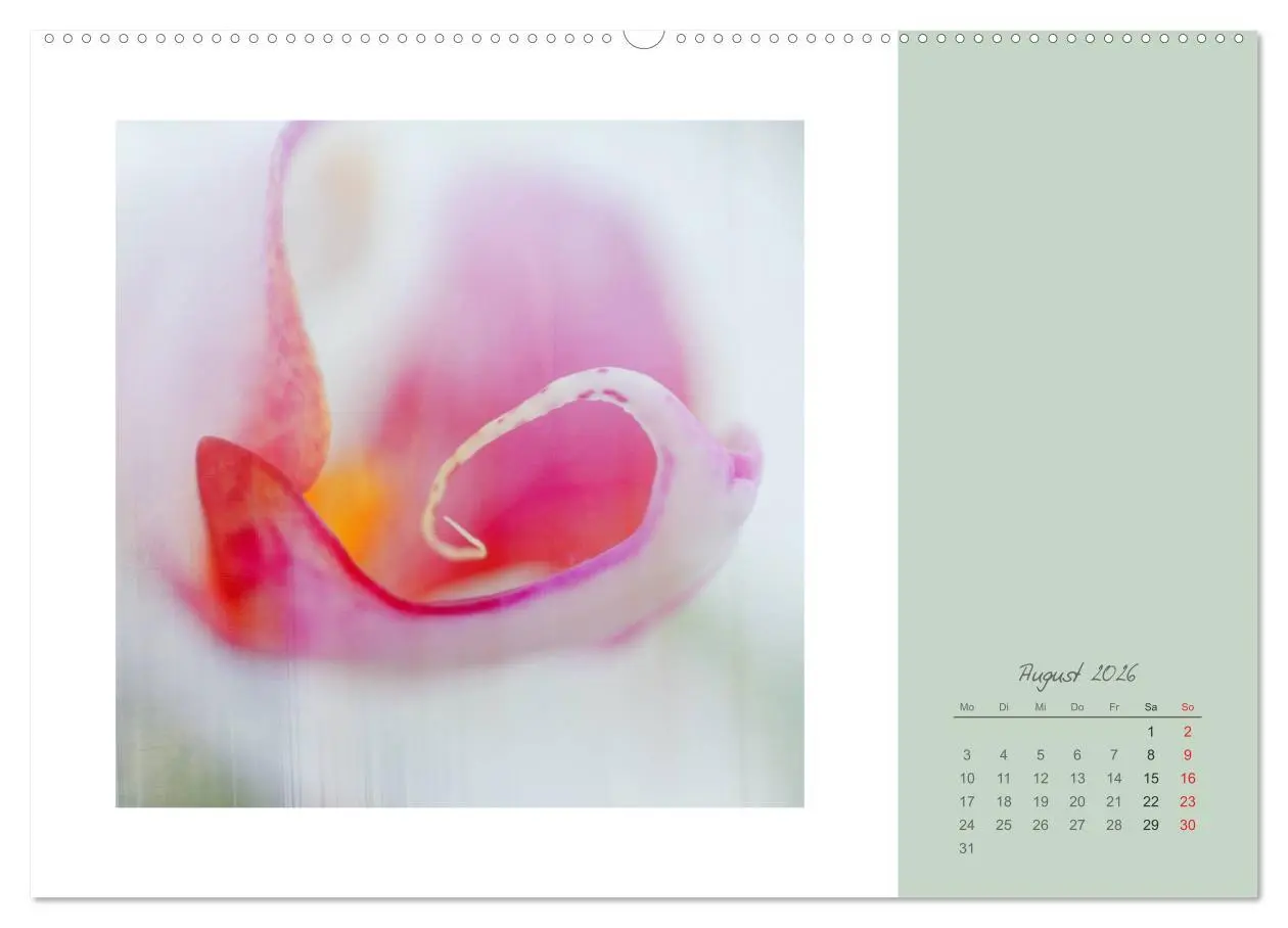 Bild: 9783516202847 | Blütenträume (Wandkalender 2026 DIN A2 quer), CALVENDO Monatskalender