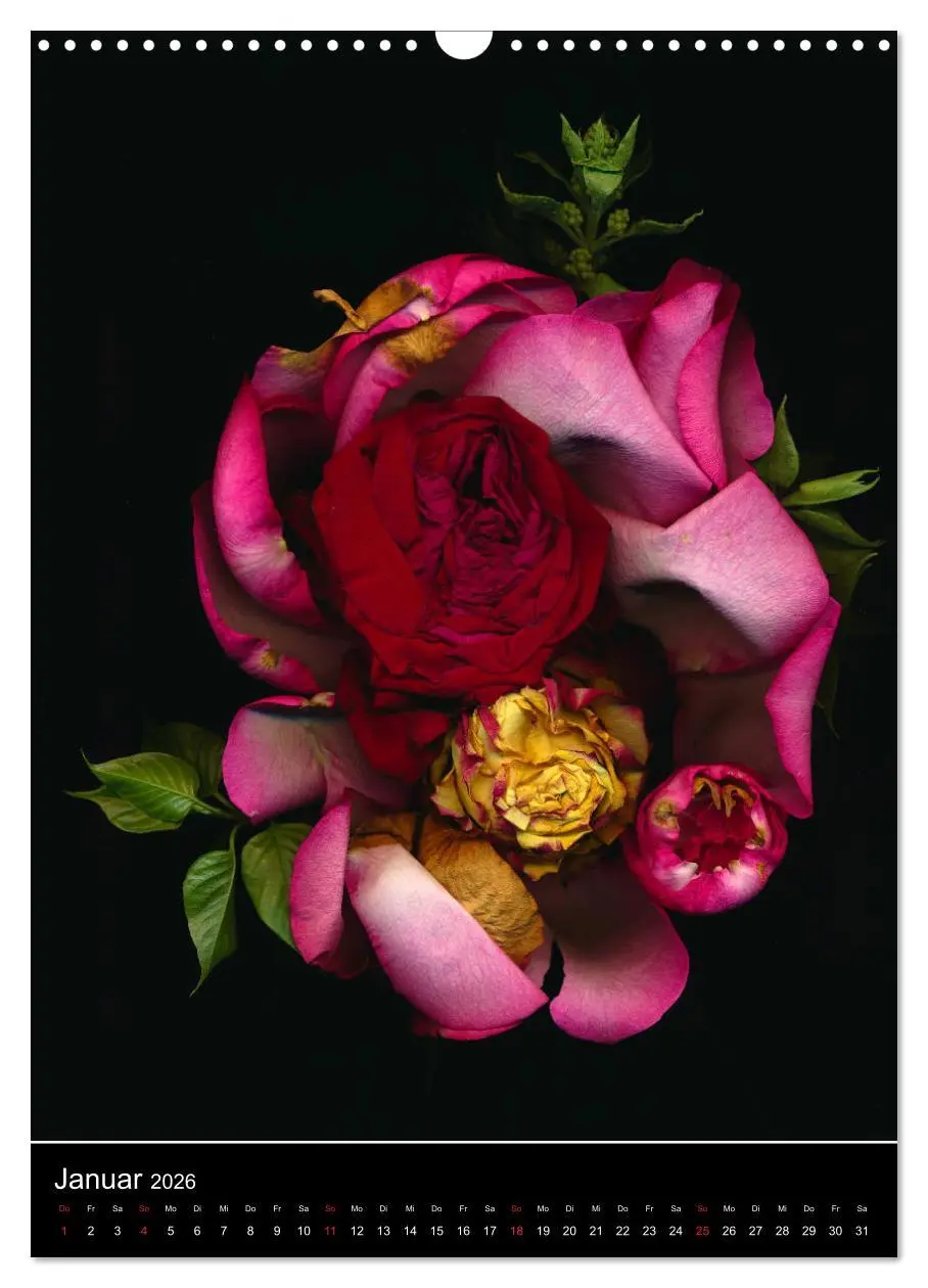 Bild: 9783516372847 | Blumen bei Nacht (Wandkalender 2026 DIN A3 hoch), CALVENDO...