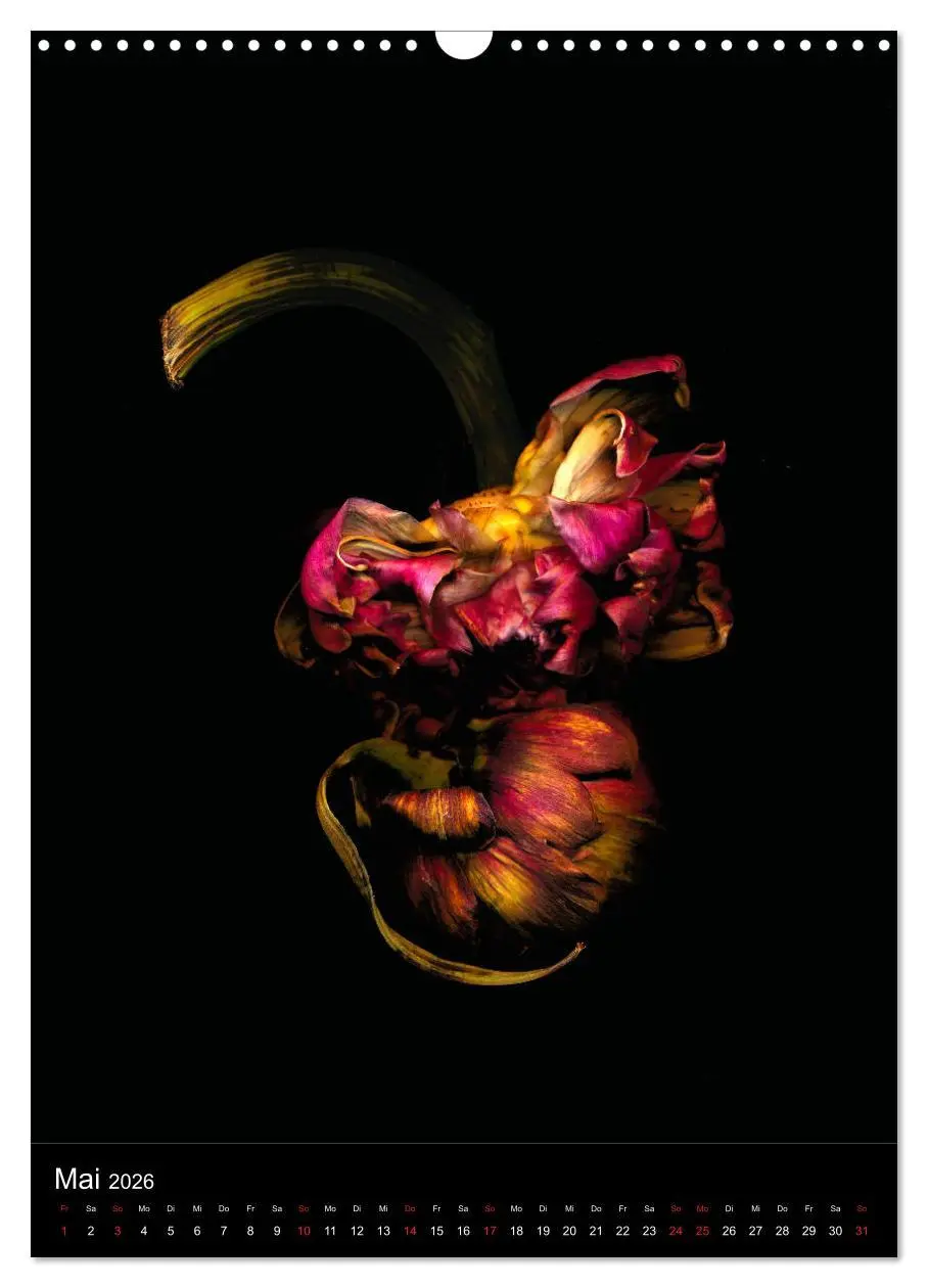 Bild: 9783516372847 | Blumen bei Nacht (Wandkalender 2026 DIN A3 hoch), CALVENDO...
