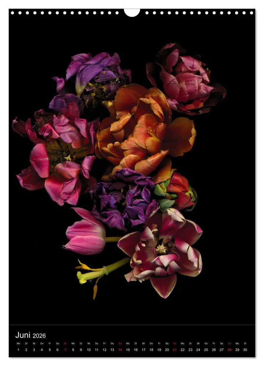 Bild: 9783516372847 | Blumen bei Nacht (Wandkalender 2026 DIN A3 hoch), CALVENDO...