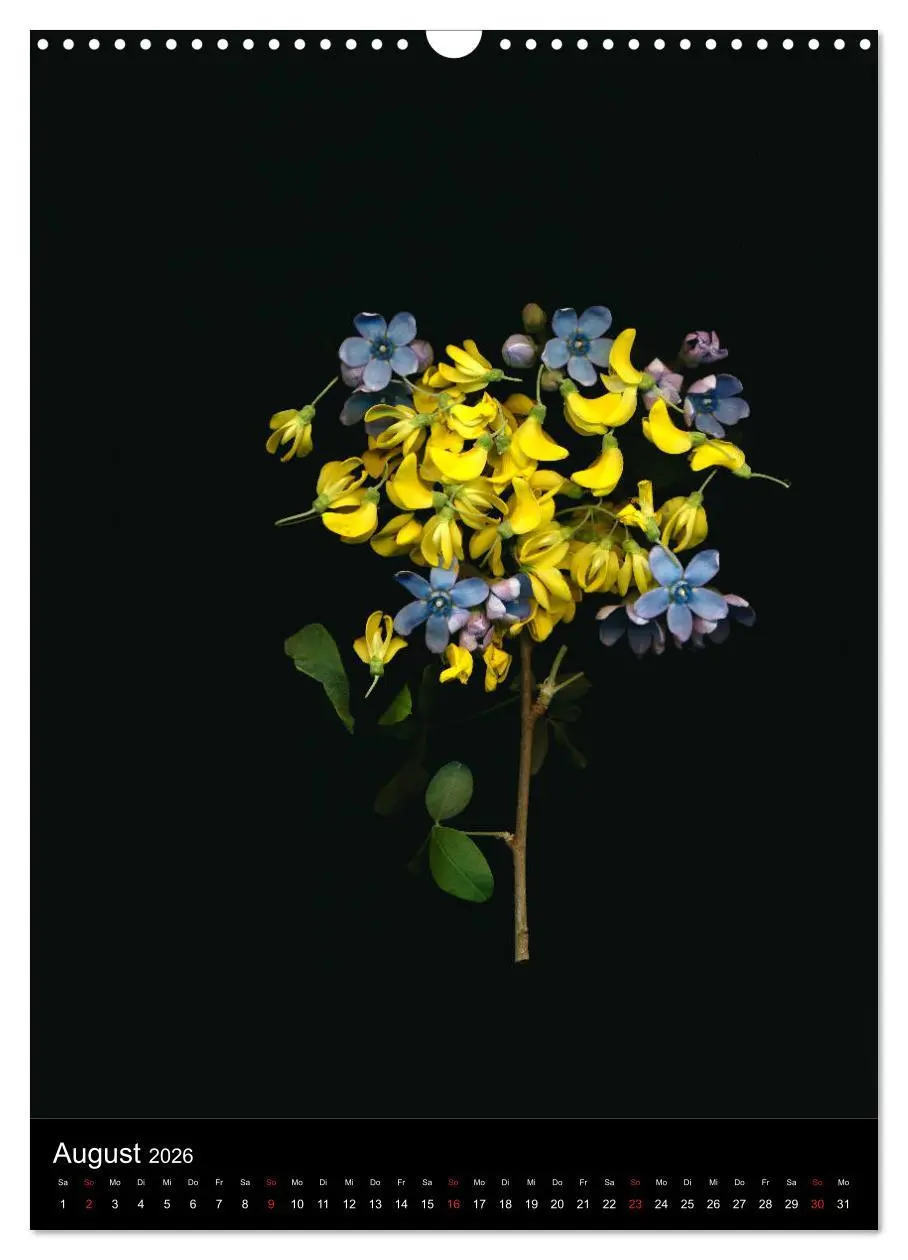 Bild: 9783516372847 | Blumen bei Nacht (Wandkalender 2026 DIN A3 hoch), CALVENDO...
