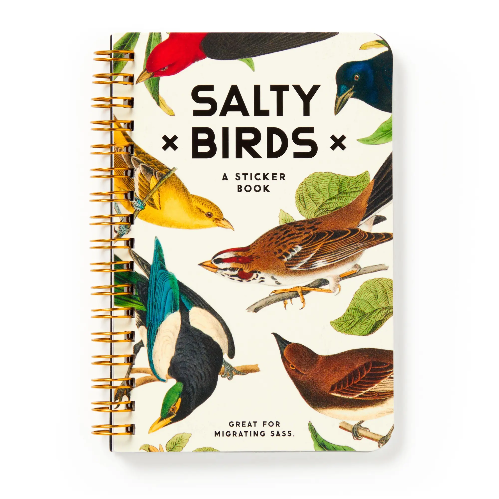 Cover: 9780735382947 | Salty Birds Sticker Book | Brass Brass Monkey (u. a.) | Taschenbuch