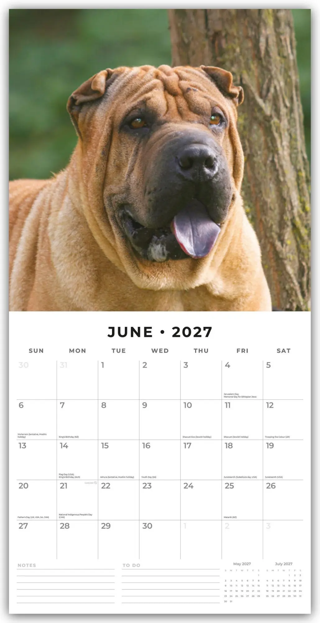 Bild: 9781837012947 | Shar-Pei - Chinesischer Faltenhund 2027 - 16-Monatskalender | Red