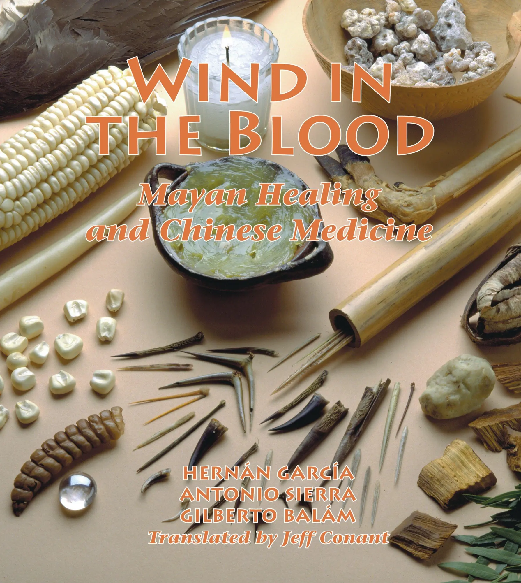 Cover: 9781556433047 | Wind in the Blood | Mayan Healing and Chinese Medicine | Taschenbuch