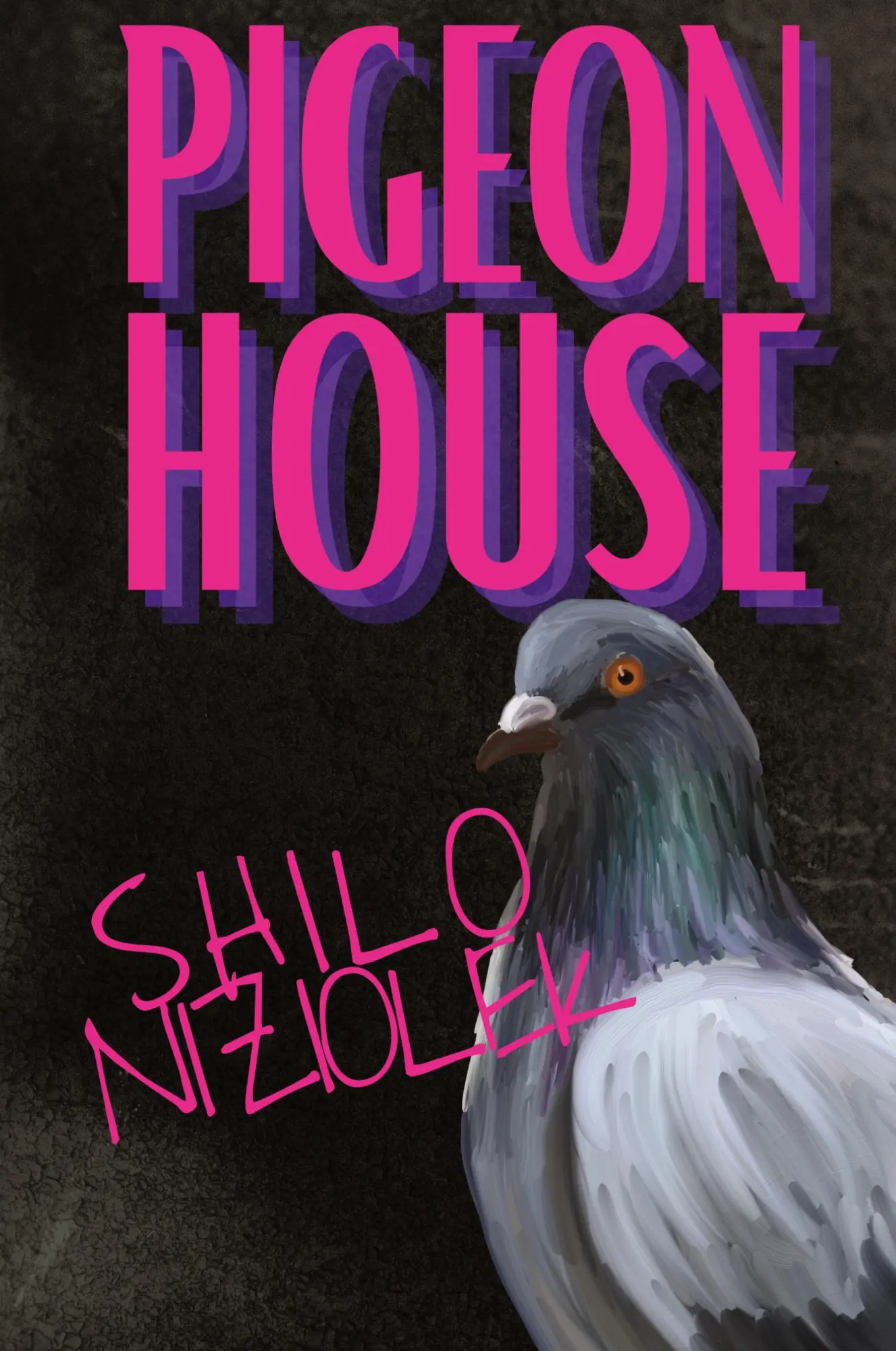Cover: 9781963943047 | Pigeon House | Shilo Niziolek | Buch | Englisch | 2024