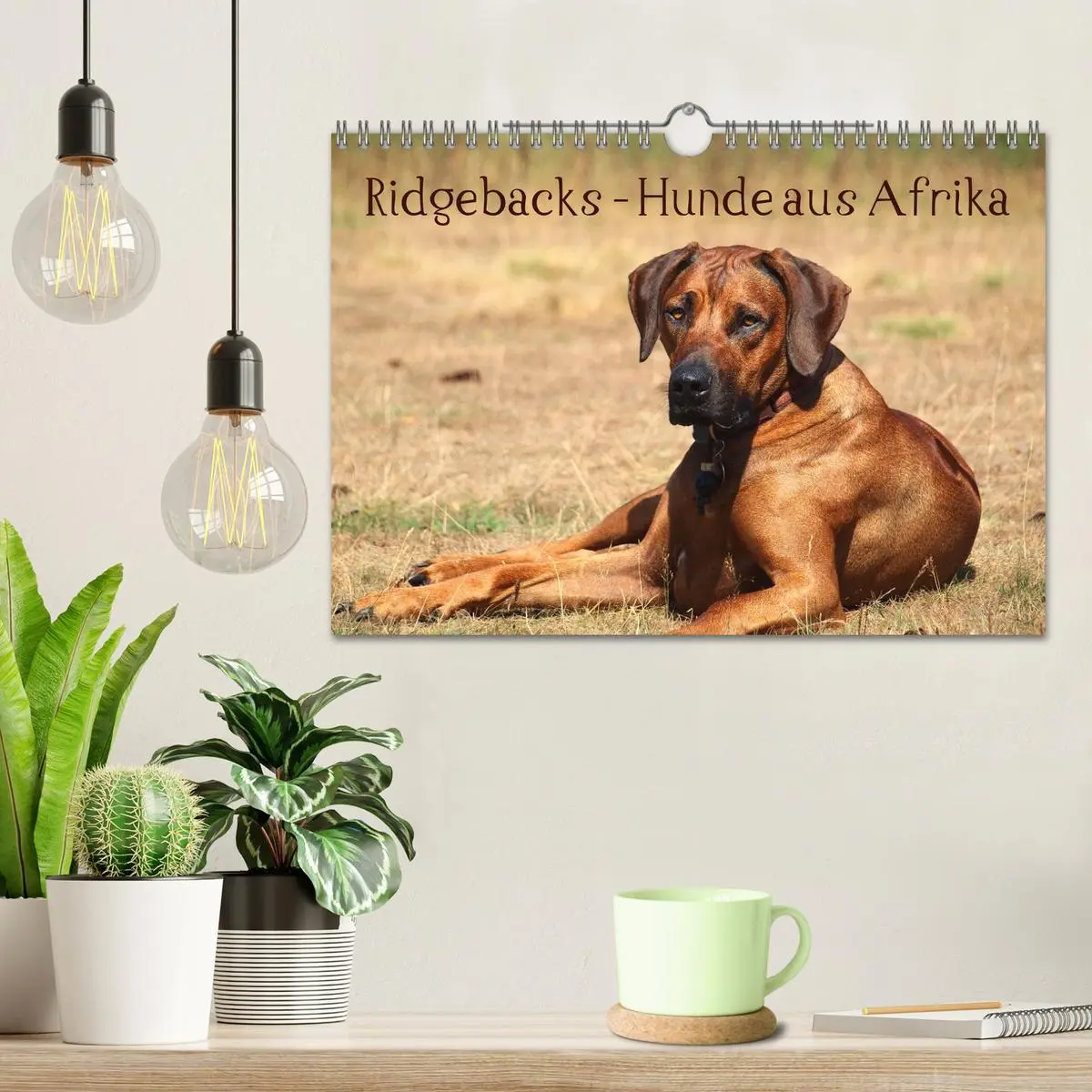 Bild: 9783516013047 | Ridgebacks - Hunde aus Afrika (Wandkalender 2026 DIN A4 quer),...