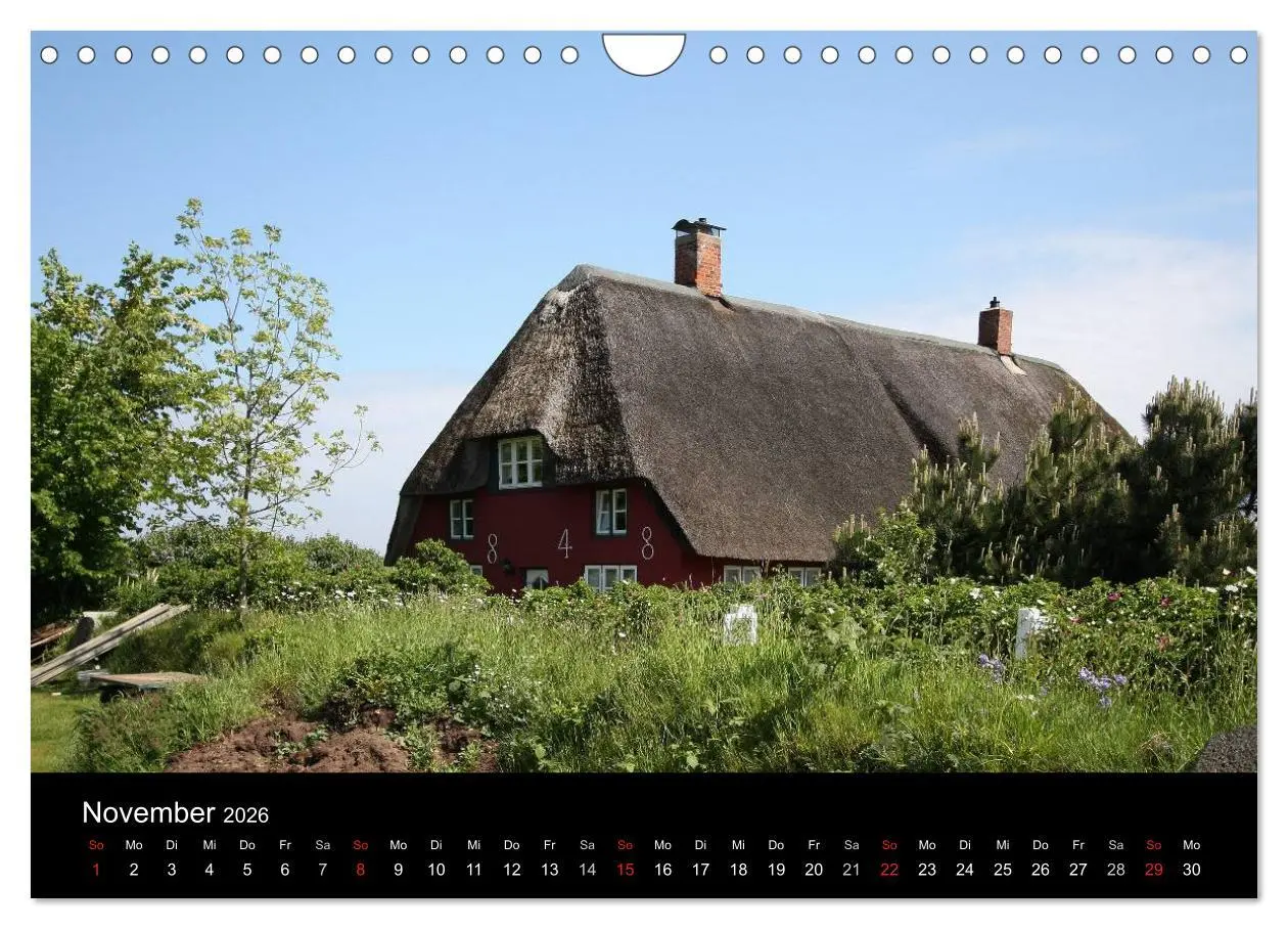 Bild: 9783516183047 | Die Insel Amrum (Wandkalender 2026 DIN A4 quer), CALVENDO...