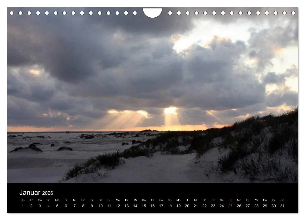 Bild: 9783516183047 | Die Insel Amrum (Wandkalender 2026 DIN A4 quer), CALVENDO...
