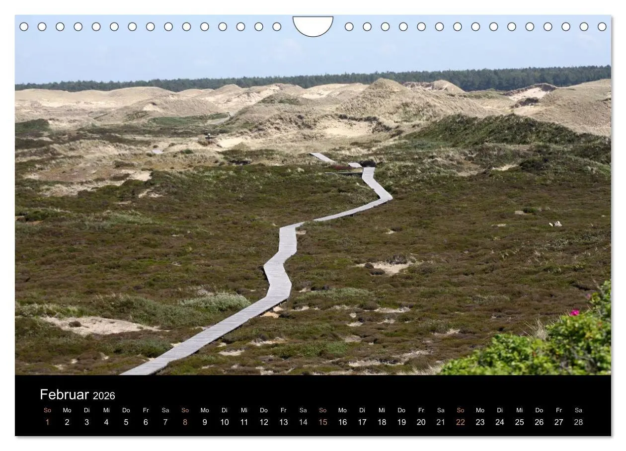 Bild: 9783516183047 | Die Insel Amrum (Wandkalender 2026 DIN A4 quer), CALVENDO...