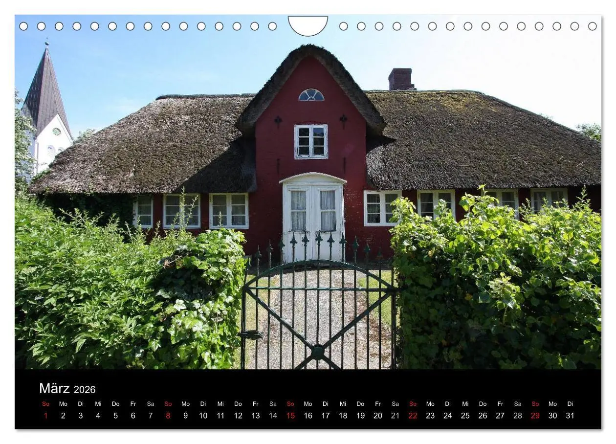 Bild: 9783516183047 | Die Insel Amrum (Wandkalender 2026 DIN A4 quer), CALVENDO...