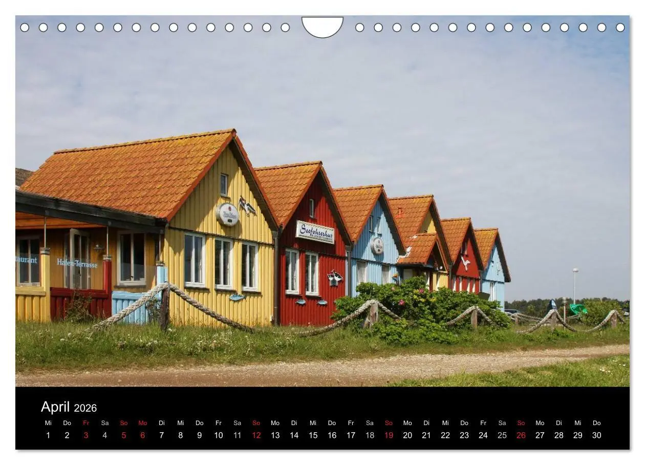 Bild: 9783516183047 | Die Insel Amrum (Wandkalender 2026 DIN A4 quer), CALVENDO...
