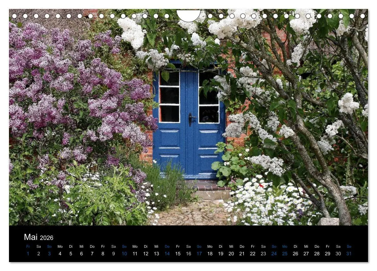 Bild: 9783516183047 | Die Insel Amrum (Wandkalender 2026 DIN A4 quer), CALVENDO...