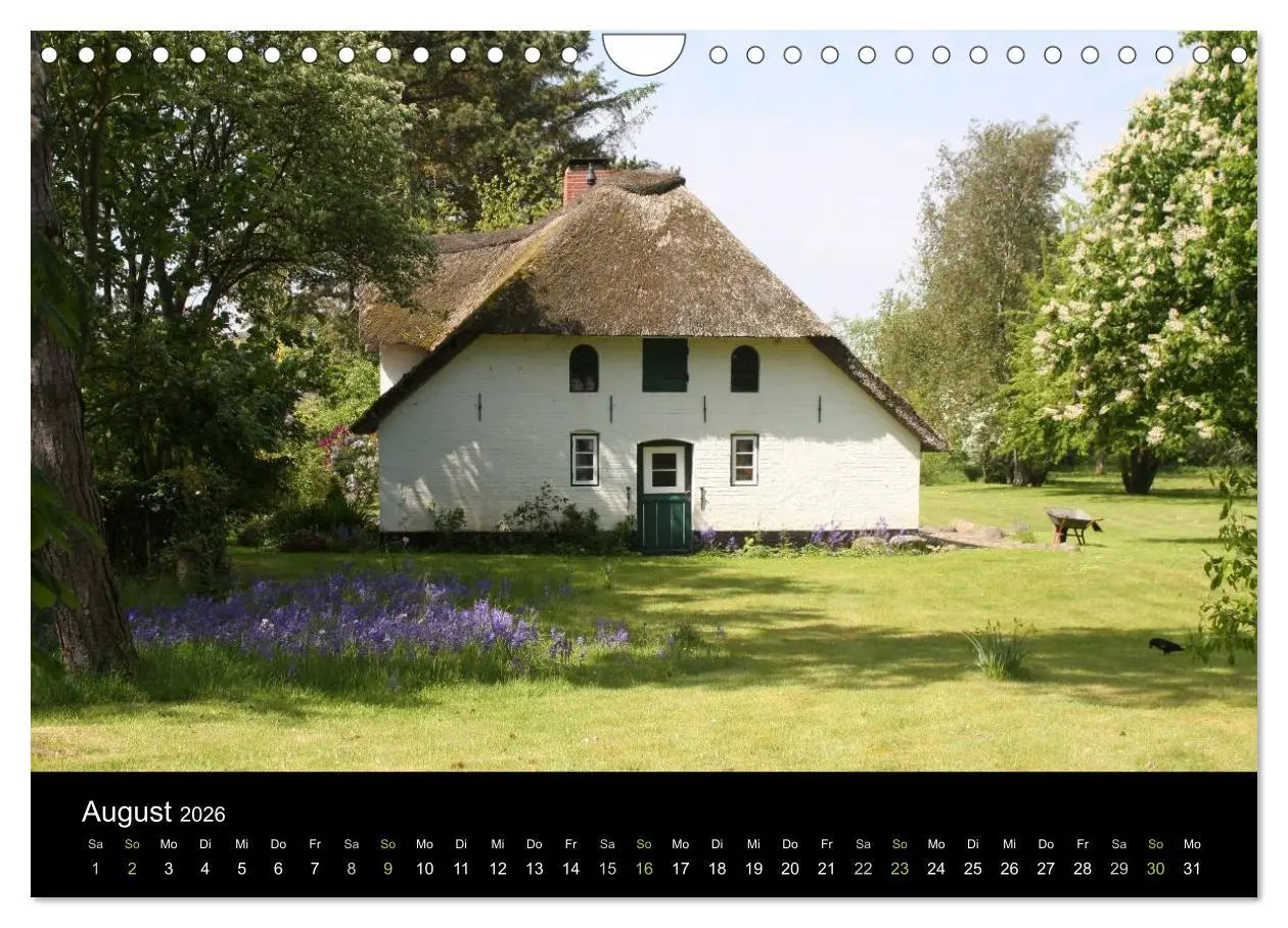 Bild: 9783516183047 | Die Insel Amrum (Wandkalender 2026 DIN A4 quer), CALVENDO...