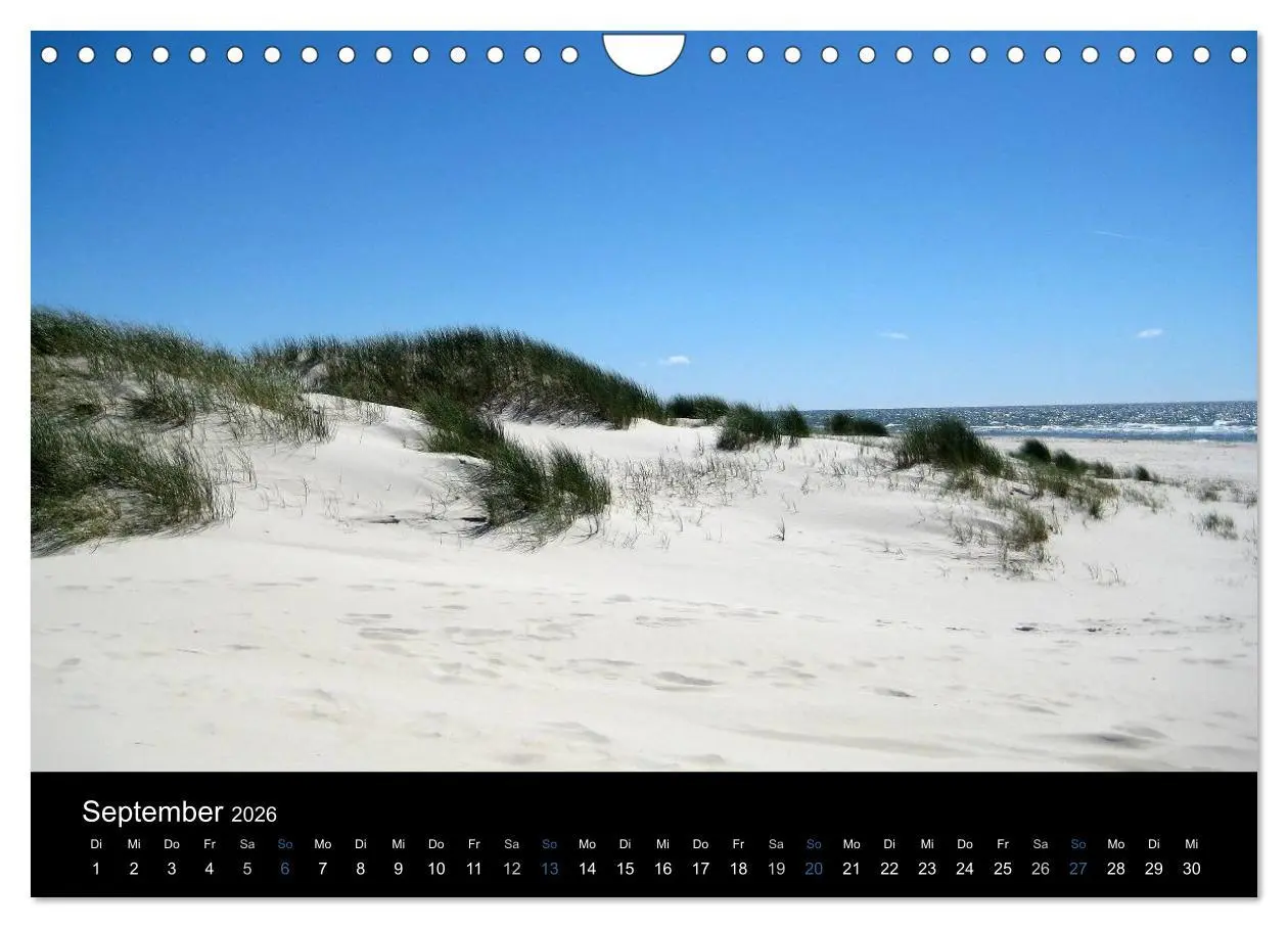 Bild: 9783516183047 | Die Insel Amrum (Wandkalender 2026 DIN A4 quer), CALVENDO...