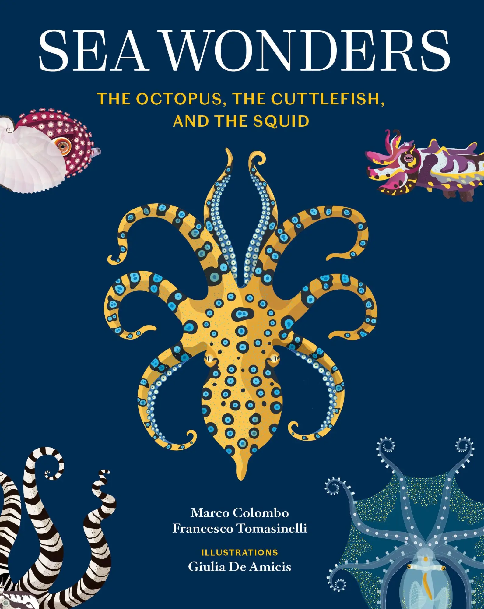 Cover: 9781797233147 | Sea Wonders | The Octopus, the Cuttlefish, and the Squid | Buch | 2025