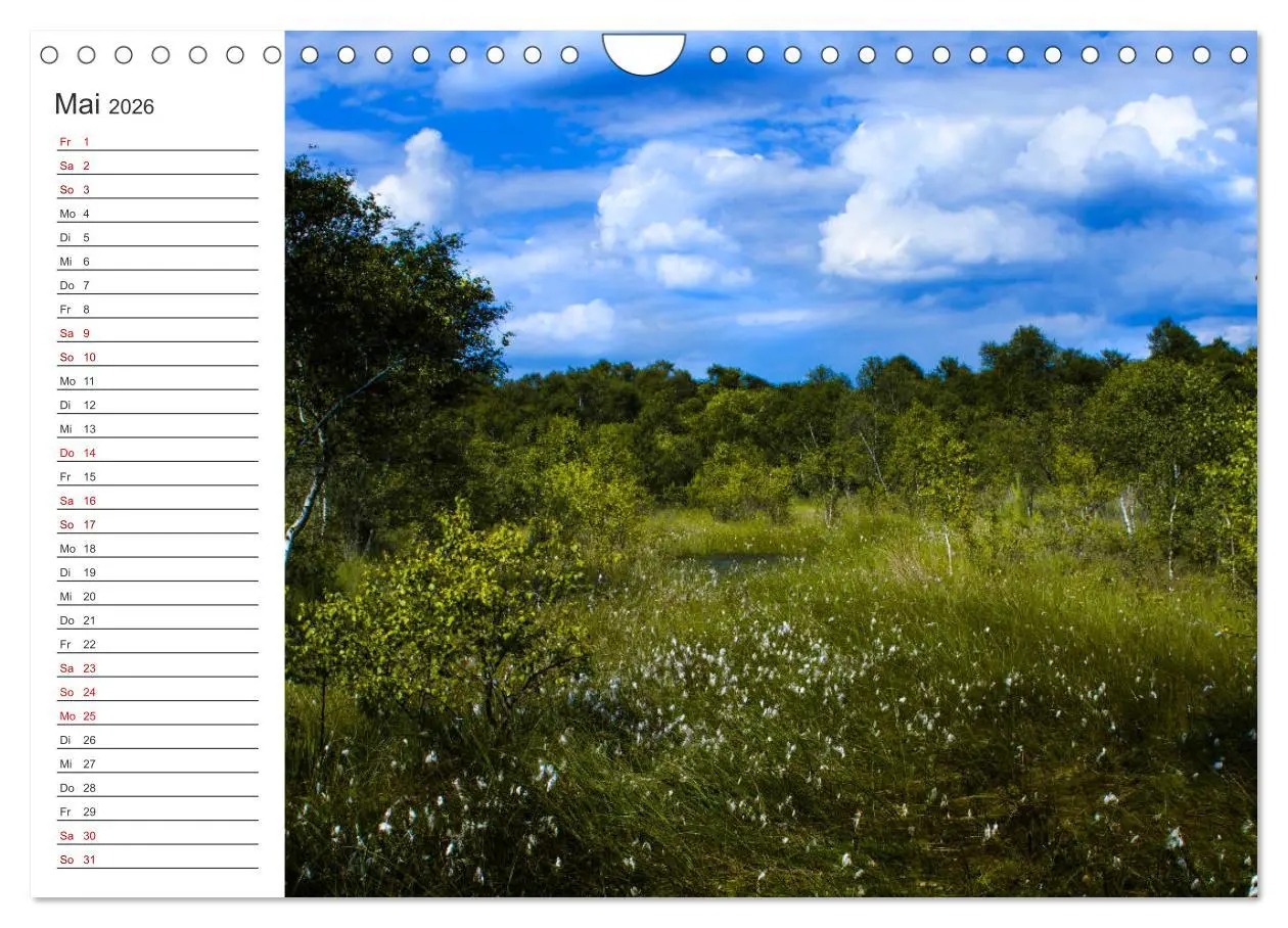 Bild: 9783457843147 | Worpswede - Naturschönheiten im Teufelsmoor (Wandkalender 2026 DIN...