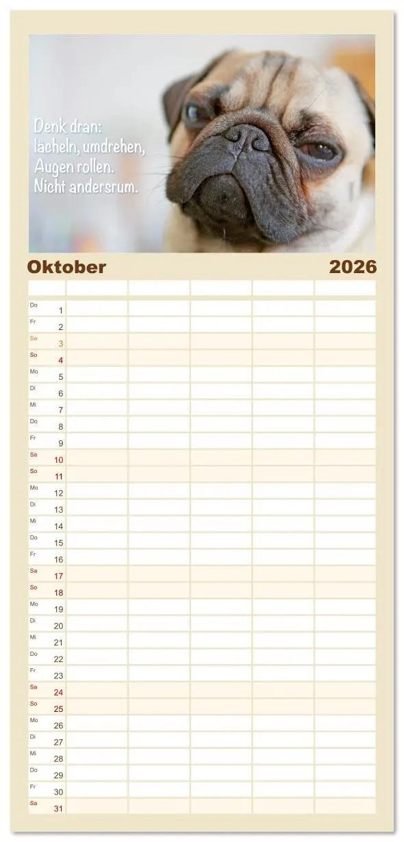 Bild: 9783516623147 | Familienplaner 2026 - Mopsala: Vom Glück, ein Mops zu sein mit 5...