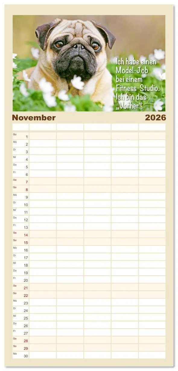 Bild: 9783516623147 | Familienplaner 2026 - Mopsala: Vom Glück, ein Mops zu sein mit 5...