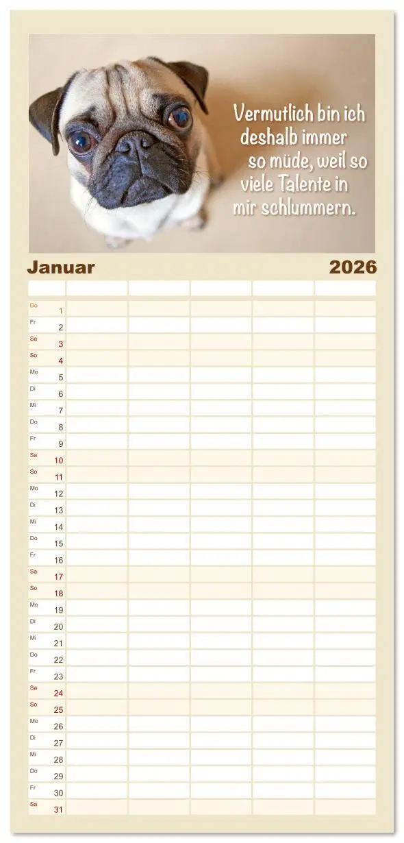 Bild: 9783516623147 | Familienplaner 2026 - Mopsala: Vom Glück, ein Mops zu sein mit 5...
