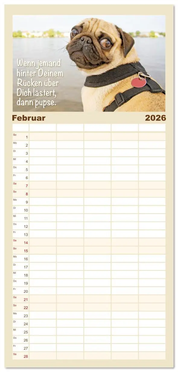 Bild: 9783516623147 | Familienplaner 2026 - Mopsala: Vom Glück, ein Mops zu sein mit 5...
