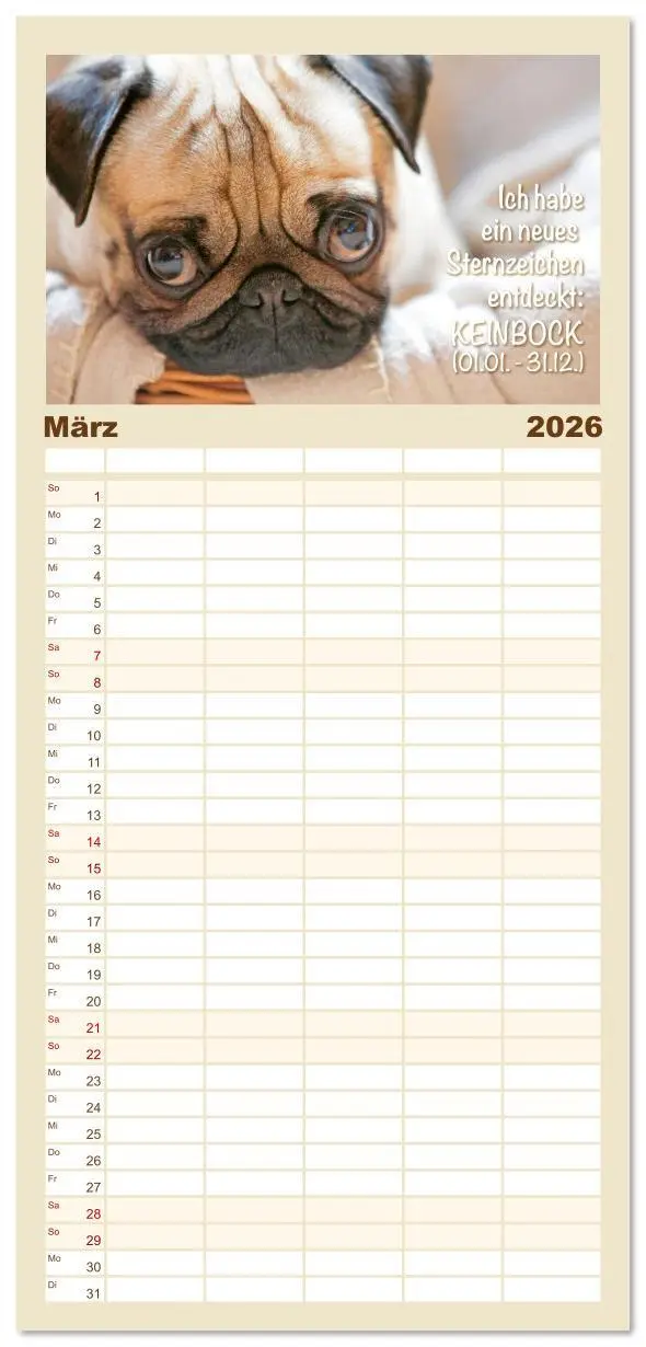Bild: 9783516623147 | Familienplaner 2026 - Mopsala: Vom Glück, ein Mops zu sein mit 5...