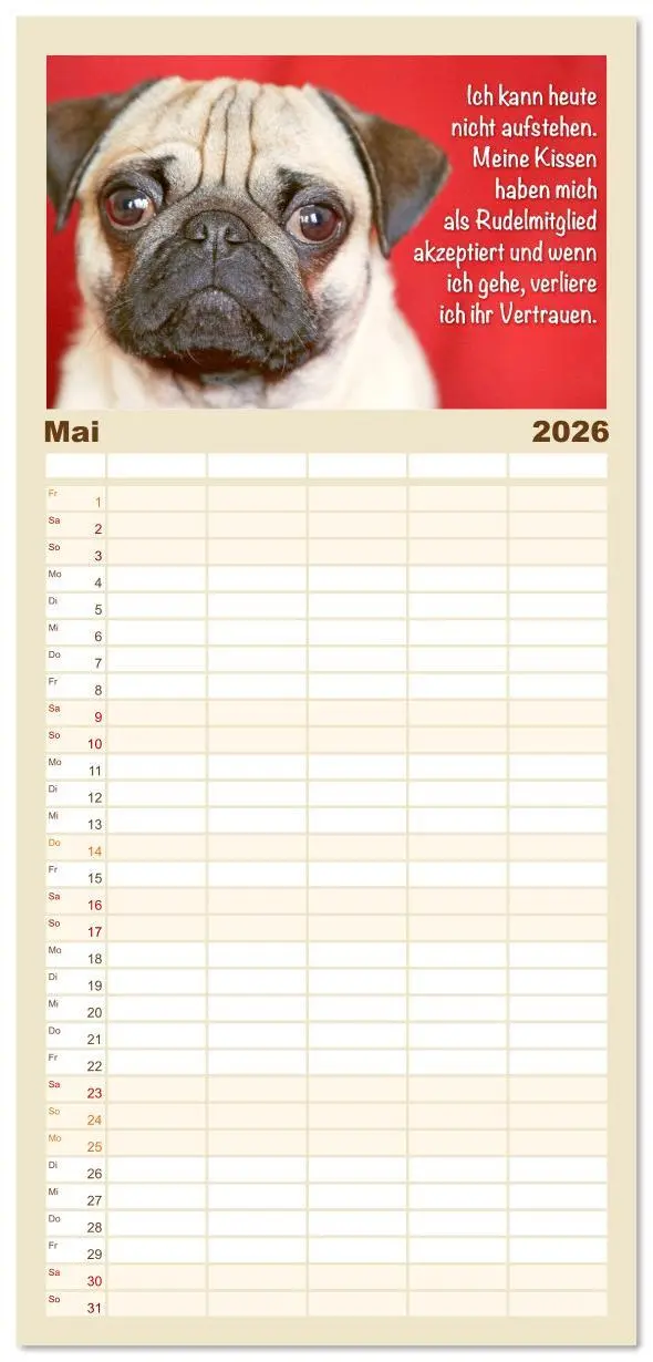 Bild: 9783516623147 | Familienplaner 2026 - Mopsala: Vom Glück, ein Mops zu sein mit 5...