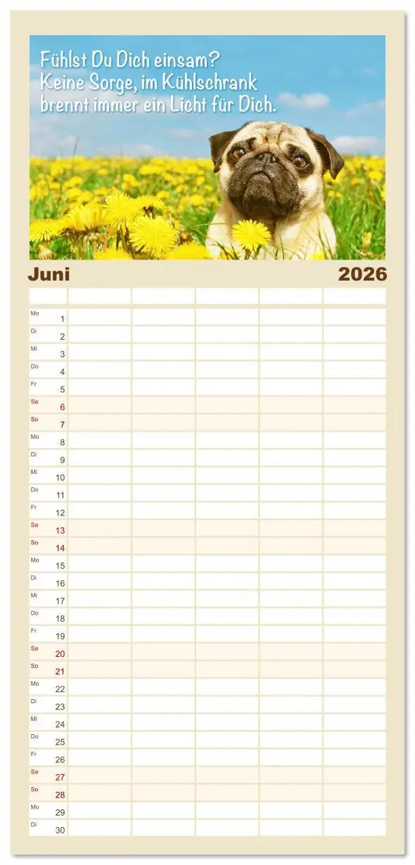 Bild: 9783516623147 | Familienplaner 2026 - Mopsala: Vom Glück, ein Mops zu sein mit 5...