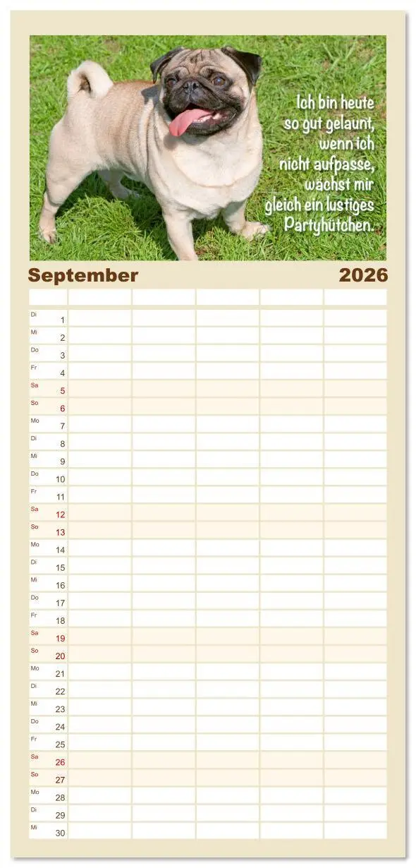 Bild: 9783516623147 | Familienplaner 2026 - Mopsala: Vom Glück, ein Mops zu sein mit 5...