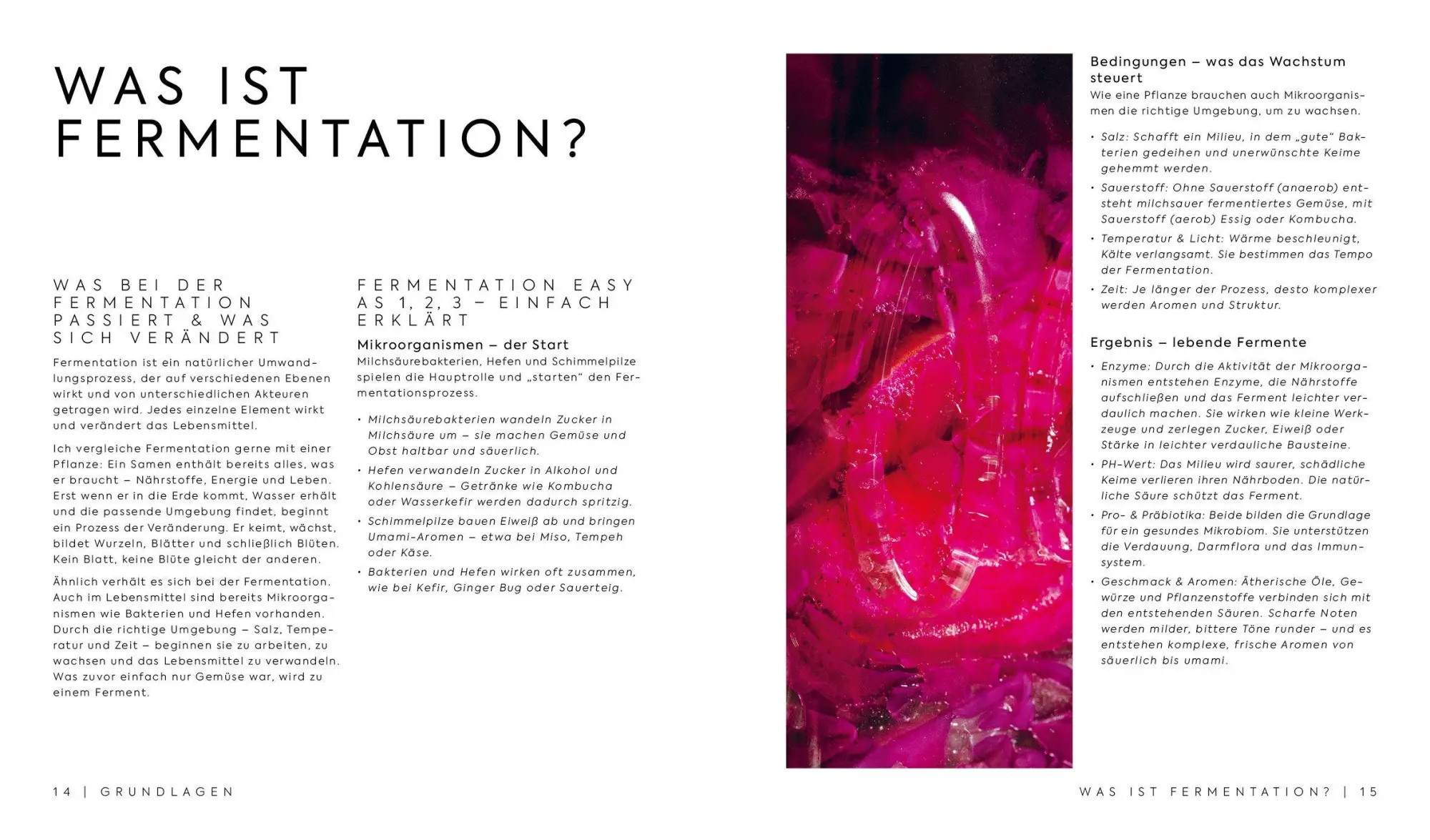 Bild: 9783745933147 | Fermentieren - Twist your Taste! | Nadine Schünemann | Buch | 224 S.