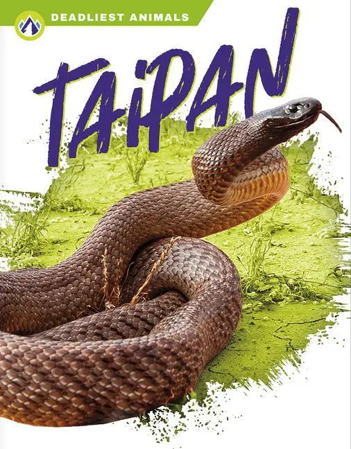 Cover: 9781637383247 | Taipan | Rachel Hamby | Taschenbuch | Englisch | 2022
